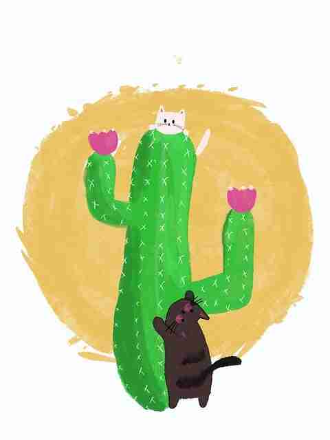 【抖音成人版】多维全景记录激活 - 硬核干货