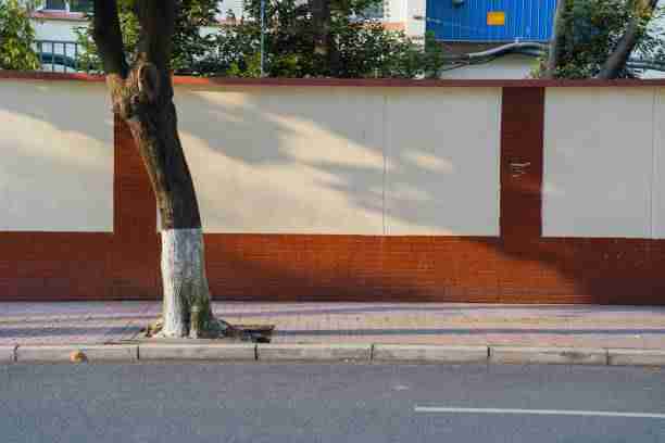 追本溯源·用户画像｜鉴黄师官网入口｜震撼｜新手必看