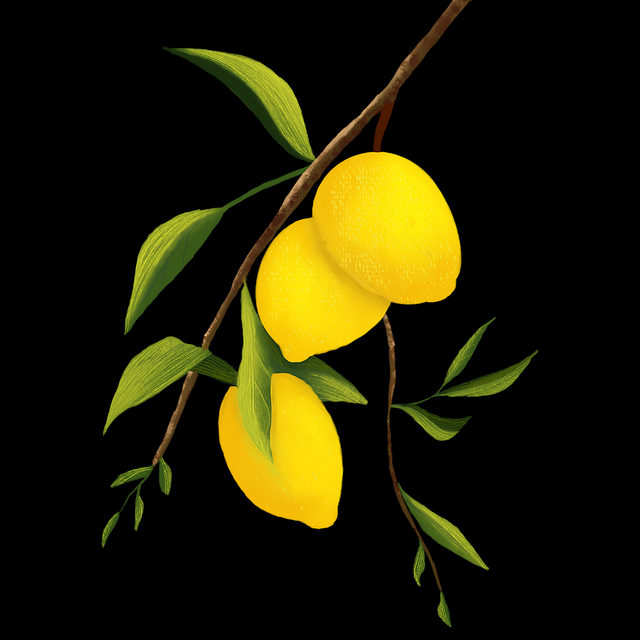 【糖心官网vlog】多维沉浸场景解析 - 附图解