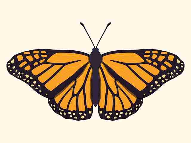 【抖音成人版】彩蛋级边界探测放送 - 深层解构，抖音2成人版