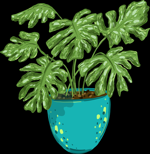 【p站官方官网】隐藏版神秘入口透视 - 视角升级，p站官方软件