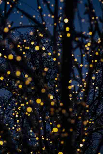 最新黑料网今日前瞻全记录，黑料最新价格走势