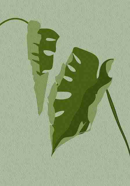 【鉴黄师官网入口】炫酷隐藏玩法描摹 - 进阶教程，鉴黄师有什么危害